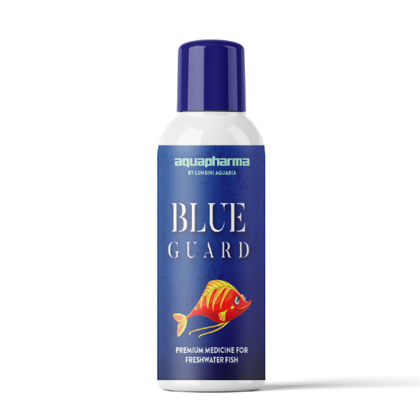Blue Guard