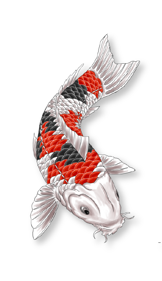 koi@2x